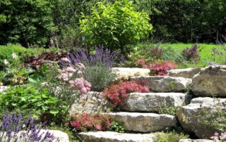 Tipps von Remax Living zum Steingarten