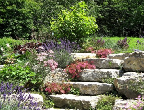 Steingarten – eine pflegeleichte Alternative?