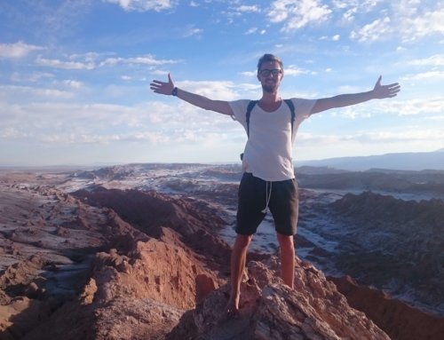 Interview-Reihe „Mensch Makler“ mit Dominik Meier