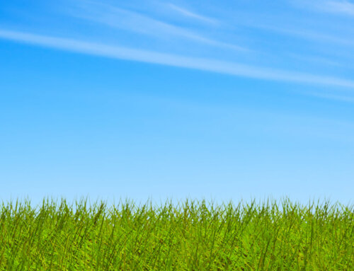 Warum kommt an Ostern der Osterhase?